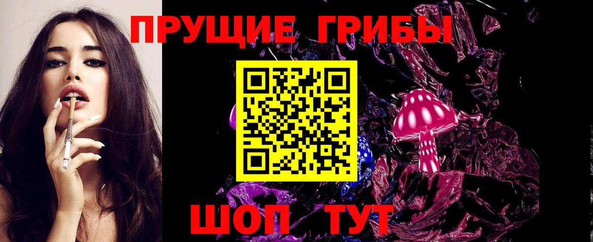 Ессентуки  Галлюциногенные грибы Psilocybe  магазин    Вход с VPN 